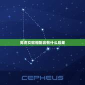 男虎女蛇相配会有什么后果，男虎，女蛇的婚姻会是什么结果呢？