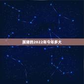 属猪的2022年今年多大，2022年生肖猪