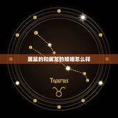 属鼠的和属龙的婚姻怎么样，属鼠和属龙相克吗