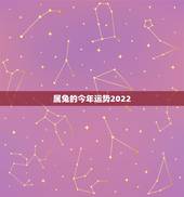属兔的今年运势2022，2022年属兔运势女性