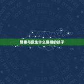 属猪与鼠生什么属相的孩子，属鼠的和属猪的生什么属性的孩子好
