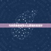 马妈妈兔爸爸生什么属相的宝宝好，鼠妈兔爸生什么属相的宝宝好