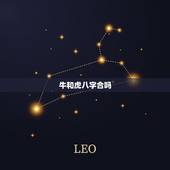 牛和虎八字合吗，牛和虎属相合吗