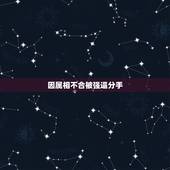 因属相不合被强逼分手，有多少因为生肖配对不合被逼分手的