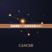 属相婚配十二生肖年龄表2021，十二生肖男女婚配表