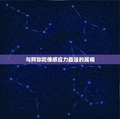 与阿弥陀佛感应力最强的属相，1983年属猪的受什麼护佑