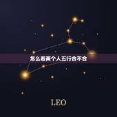 怎么看两个人五行合不合，怎么样看两个人八字合不合