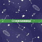 1978年男马的婚姻命运，78年属马人一生命运是怎么样的