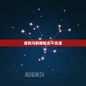 龙和马的婚配合不合适，属龙的跟属马的相配吗