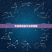 天蝎男和金牛女的婚配，天蝎男和金牛女在一起怎么样？