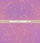 属兔的和什么属相最配一年，属兔和什么属相比较相配