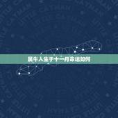 属牛人生于十一月命运如何，属牛的11月出生的命运