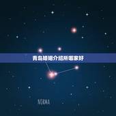 青岛婚姻介绍所哪家好，青岛婚介哪家比较好？