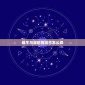 属牛与属蛇相结合怎么样，属牛和属蛇的夫妻结局