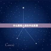 什么属相人适合外出发展，生肖猪 最适合什么职业 发展前景无限