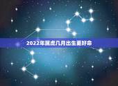 2022年属虎几月出生更好命，2022虎年哪个月出生更好