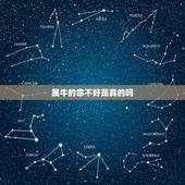 属牛的命不好是真的吗，十二生肖哪个命最差