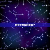 招财大牛猫出啥事了，猫有什么寓意？怎才能招财和招福？