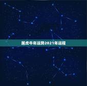 属虎牛年运势2021年运程，2021年属虎的运势和财运