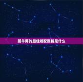 属羊男的最佳婚配属相是什么，1992年2月3号属羊男婚配什么最合适