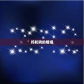 鸡和狗的婚姻，属鸡的和属狗的今年八月份哪天结婚日子好