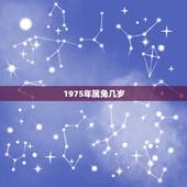 1975年属兔几岁，七几年属兔的人多少岁了