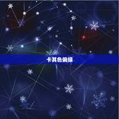 卡其色偏绿，卡其色是不是就是军绿色啊？