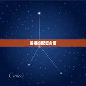 属相婚配契合度，生肖属龙跟属鼠相配吗？