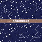 天秤座未来五年运势，天秤座的运势