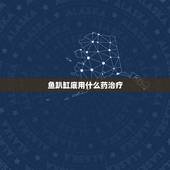 鱼趴缸底用什么药治疗，鱼蹭缸，下什么药？