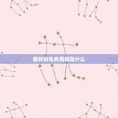 最好的生肖属相是什么，十二生肖中，哪个属相最好呢？