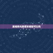 属相狗与属相羊婚配可以吗，属羊属狗八字在一起