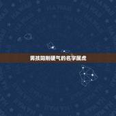 男孩阳刚硬气的名字属虎 高雅霸气男孩名字