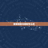 属猪跟属马婚配怎么样，属猪和属马合适吗