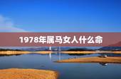 1978年属马女人什么命，1978年属马的人什么命
