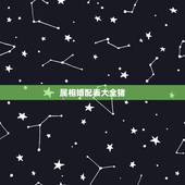 属相婚配表大全猪，属相婚配表之属猪的和什么属相最配