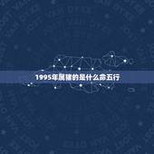 1995年属猪的是什么命五行，1995年属猪的人是什么命