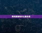 男的属猪和什么最合适，女属猪的和什么属相最配
