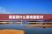 属鼠跟什么属相最配对，属鼠的和什么属相最配 属鼠的属相婚配表