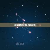 属兔射手2022年运势，属兔射手座07年运势
