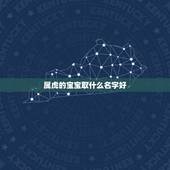属虎的宝宝取什么名字好，属虎的十一月份出生的男孩取什么名字好