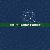 咨询一下什么属相的夫妻最恩爱，什么属相的夫妻最般配