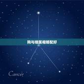 狗与啥属相婚配好，属相婚配表：属狗的和什么属相最相配