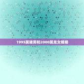 1995属猪男和2000属龙女婚姻，1995属猪的和2000属龙的八字