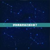 梦到黑鱼把自己撞水里了，做梦梦见黑鱼好吗