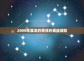 2000年属龙的男孩的更佳婚配，2000年男龙女龙合婚吗