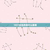 1937出生的是什么属相，1937年出生的人属什么的？