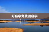 好名字免费测名字，免费名字测试打分