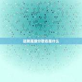 这就是缘分歌名是什么，《一次让我们相遇，也许是我们的缘分这歌名叫什么
