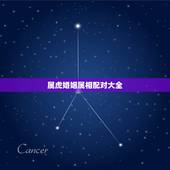 属虎婚姻属相配对大全，1998年属虎的更佳配偶